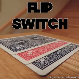 Flip Switch by Adam Kaufman