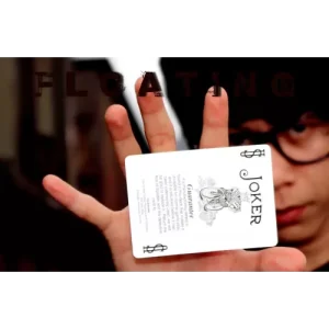 Floating by Arie Bhojez