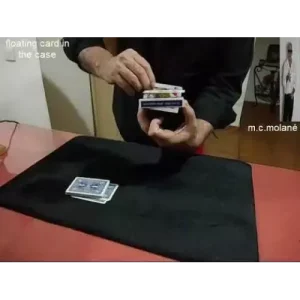 Floating Card In Case by Salvador Molano Olivera