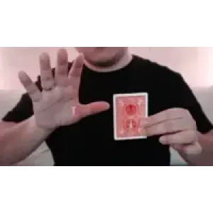 Flying Angel by Robby Constantine