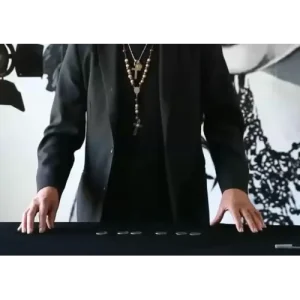 Flying Eagles (Coins Across) by Rocco