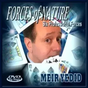 Forces Of Nature by Meir Yedid