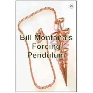 Forcing Pendulum by Bill Montana
