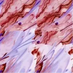 Fraser Parker – A Rose By Any Other Name