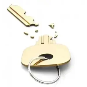 Freedom Key by Anthony Boler