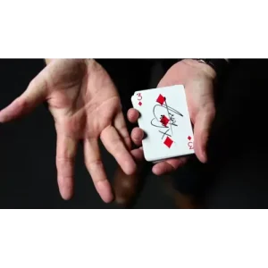 Gecko Pro System by Jim Rosenbaum