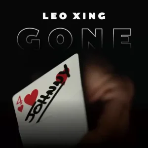 Gone by Leo Xing