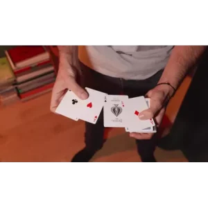 Gorilla Project by Yoann F