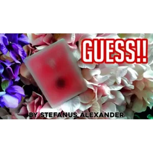 Guess by Stefanus Alexander