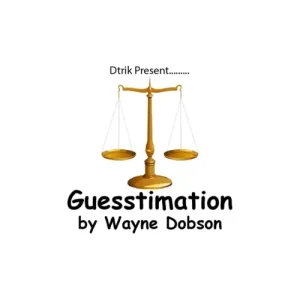 Guesstimation by Wayne Dobson