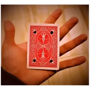 Hallucination by Sultan Orazaly