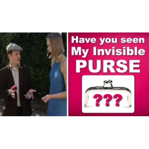 Have You Seen My Purse? by Michael O’Brien