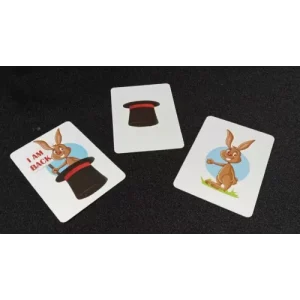 Hey, Mr. Rabbit by Dibya Guha