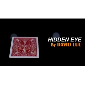 Hidden Eye by David Luu