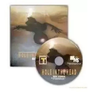 Hole In The Head by Ben Harris