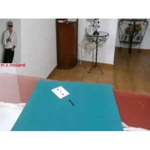 Houdini by Salvador Molano Olivera