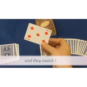 Houdini’s Diary by Wayne Dobson And Alan Wong