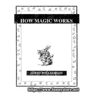 How Magic Works by David Williamson