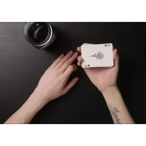 How To Palm With Small Hands by Dennis Kim