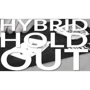 Hybrid Holdout by John Bannon