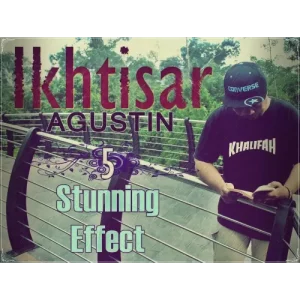 Ikhtisar by Agustin