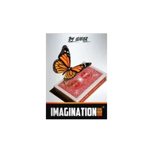 Imagination Box by Olivier Pont