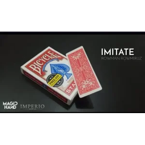 Imitate by Rowman Rowmiruz