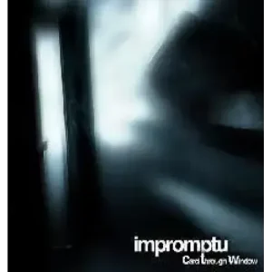 Impromptu Card Through Window by Mason Roberts