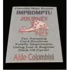 Impromptu Journey by Aldo Colombini