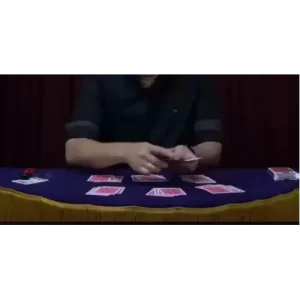 Impromptu Magic by Seiji Otta