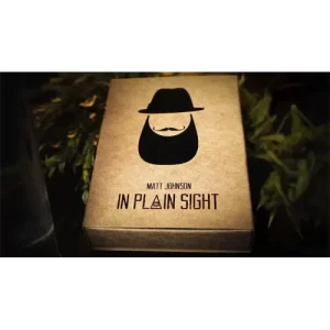 In Plain Sight by Matt Johnson