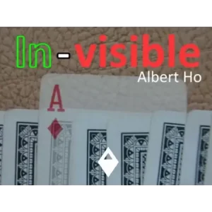 In-Visible by Albert Ho