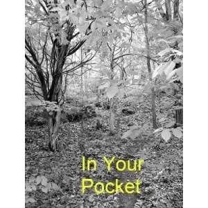 In Your Pocket by Ken Muller