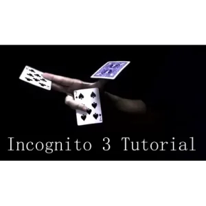 Incognito 3 by Alexandre Bazilio