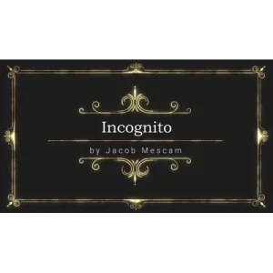 Incognito by Jacob Mescam