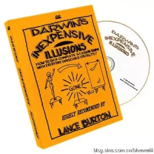 Inexpensive Illusions by Gary Darwin