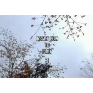 Insert Coin To Play 3 by Tae Sang