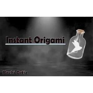 Instant Origami by Bachi Ortiz