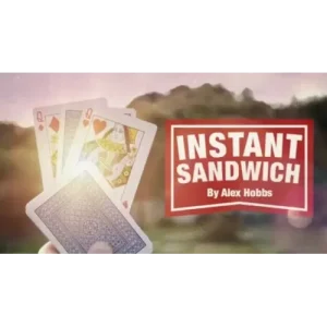 Instant Sandwich by Alex Hobbs