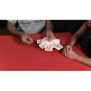 Instant Transformation by Bebel