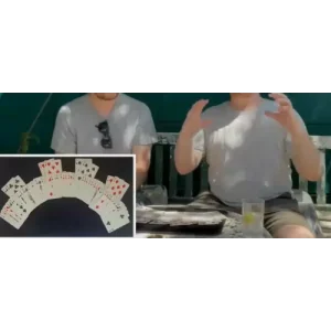 Instinct by Christian Grace