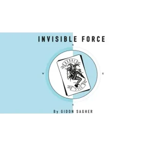 Invisible Force by Gidon Sagher