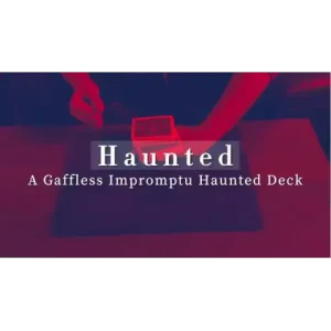 Keito from Japan by Zee J. Yan