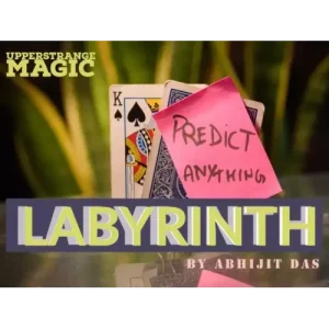 Labyrinth by Abhijit Das