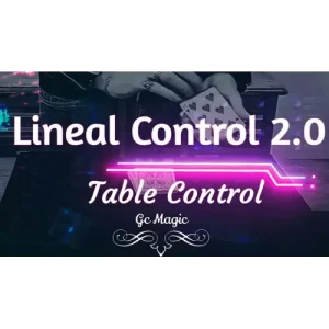 Linear Control 2.0 by Gonzalo Cuscuna