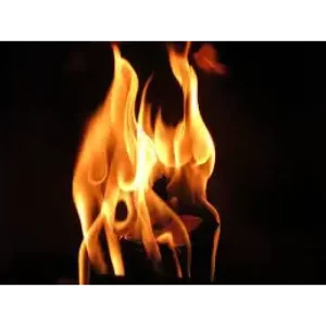 M.O.Phoenix by Sultan Orazaly