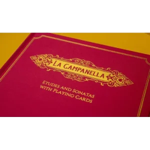 Magic As Medium by Pre-Sale: Shawn Desouza-Coelho