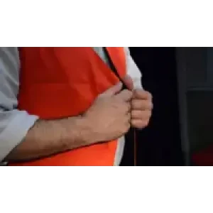 Magic Elegance by Juan Pablo