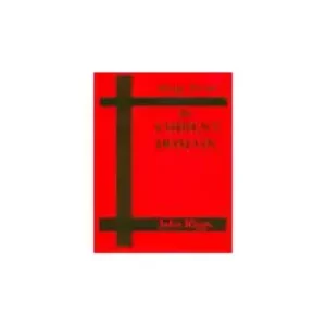 Magic From The Ambient Domain by John Riggs