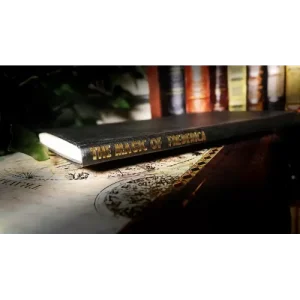 Magic Of Frederica by Lewis Ganson